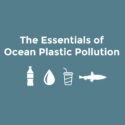 Essentials of Ocean Plastic Pollution