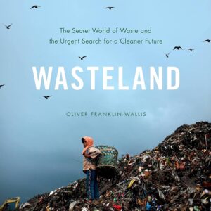 Wasteland cover.