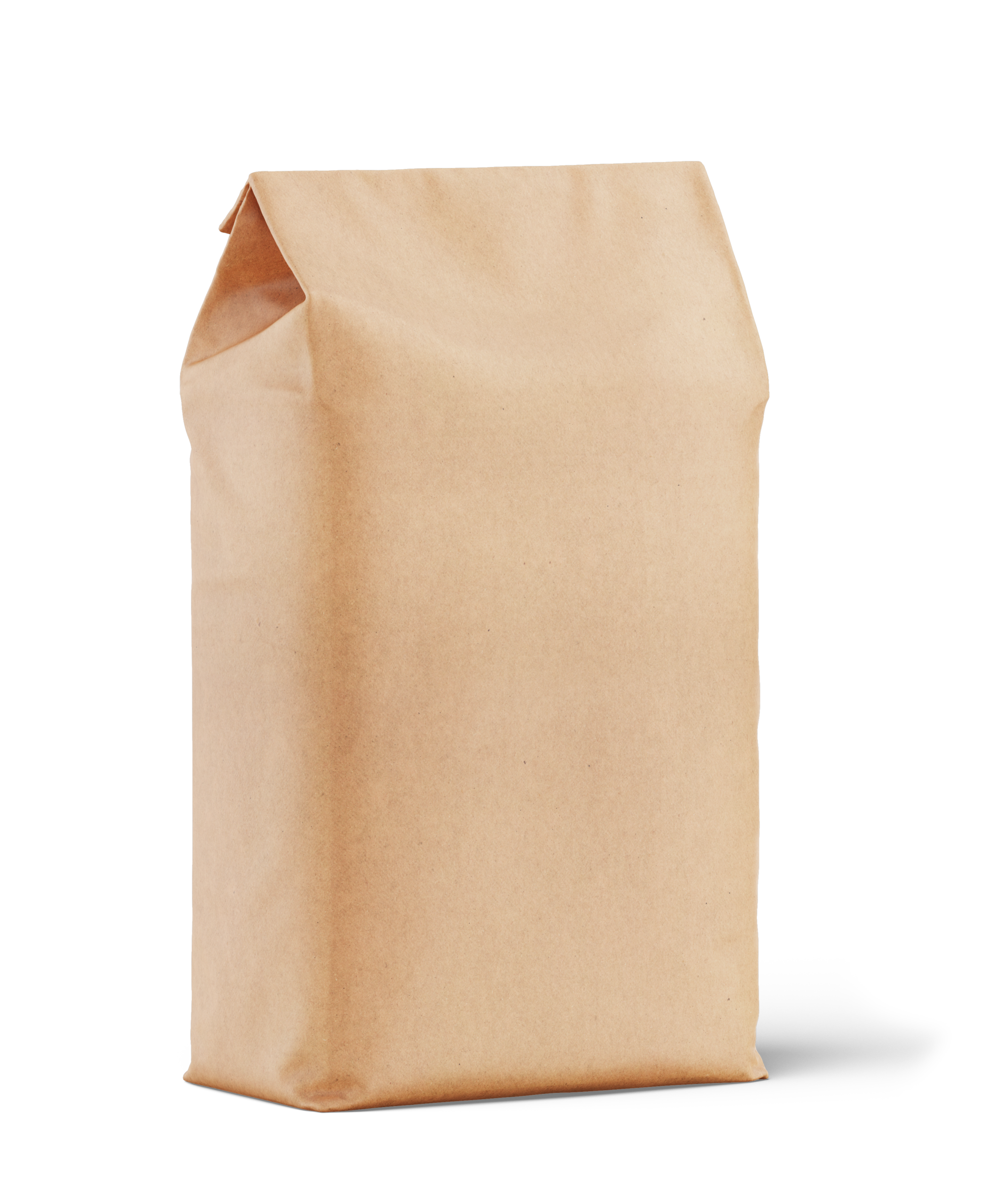 Kraft Paper Bag
